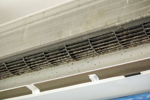 Best Affordable Duct Cleaning Services  in Casper, WY